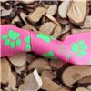 Order  Paw Print Ribbon - 25mm Pink/Green Grosgrain